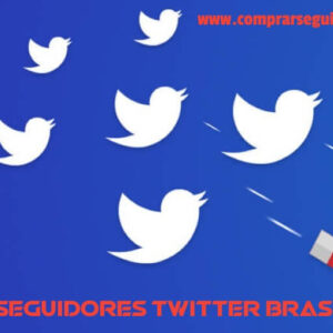 twitter-seguidores-brasil